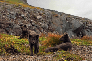 Snímek obrazovky 2022-01-10 124207